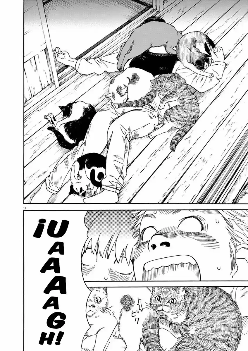 Neko No Otera No Chion-san - Capítulo 5 - Página 15 - LectorTMOo