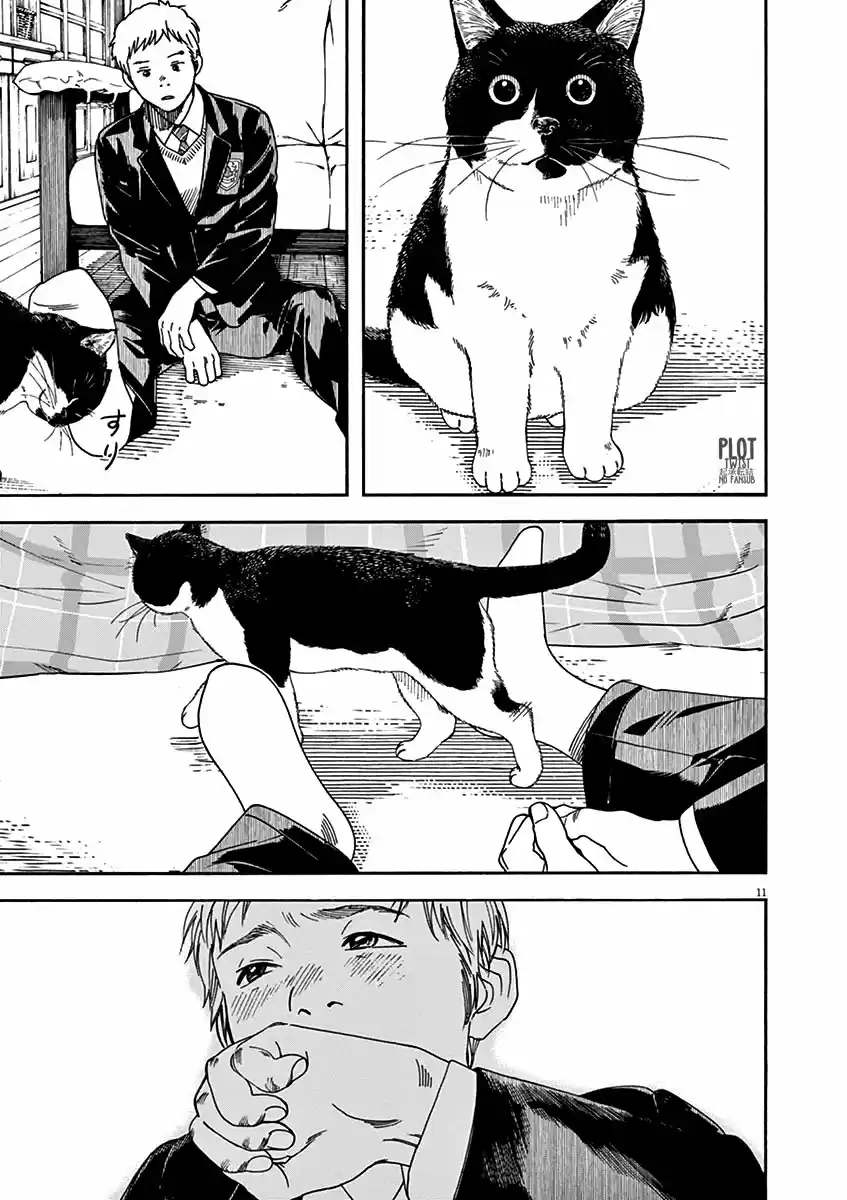 Neko No Otera No Chion-san - Capítulo 56 - Página 12 - LectorTMOo