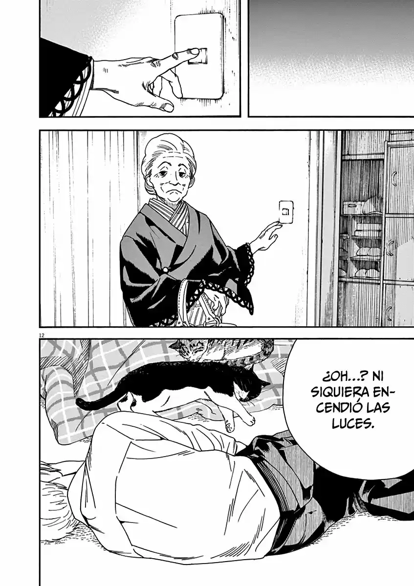 Neko No Otera No Chion-san - Capítulo 56 - Página 13 - LectorTMOo