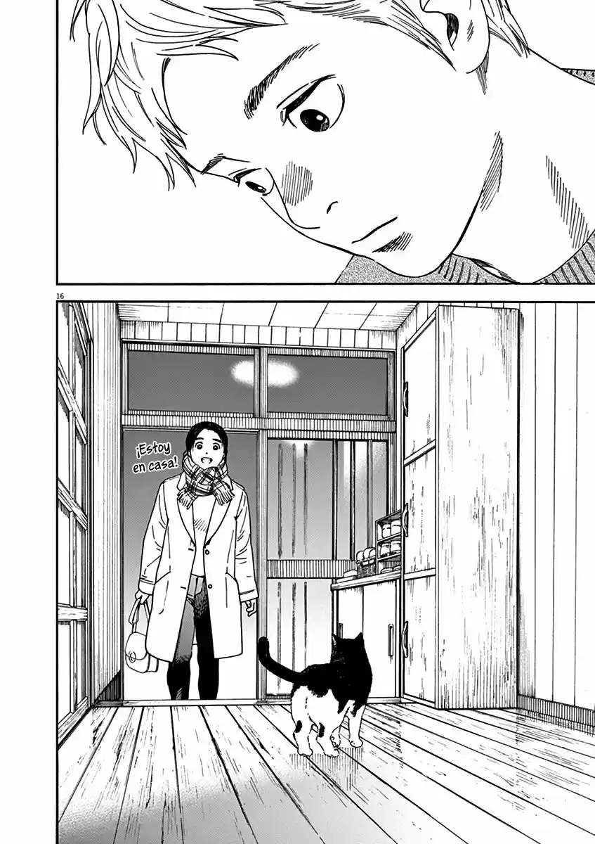 Neko No Otera No Chion-san - Capítulo 56 - Página 17 - LectorTMOo