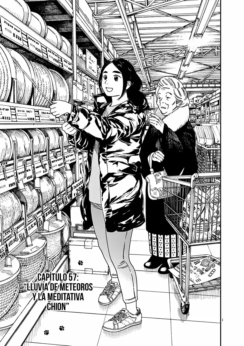Neko No Otera No Chion-san - Capítulo 57 - Página 2 - LectorTMOo