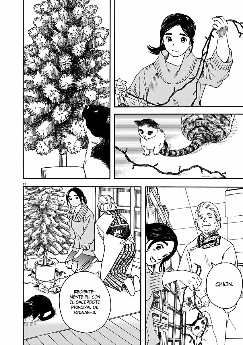 Neko No Otera No Chion-san - Capítulo 57 - Página 13 - LectorTMOo