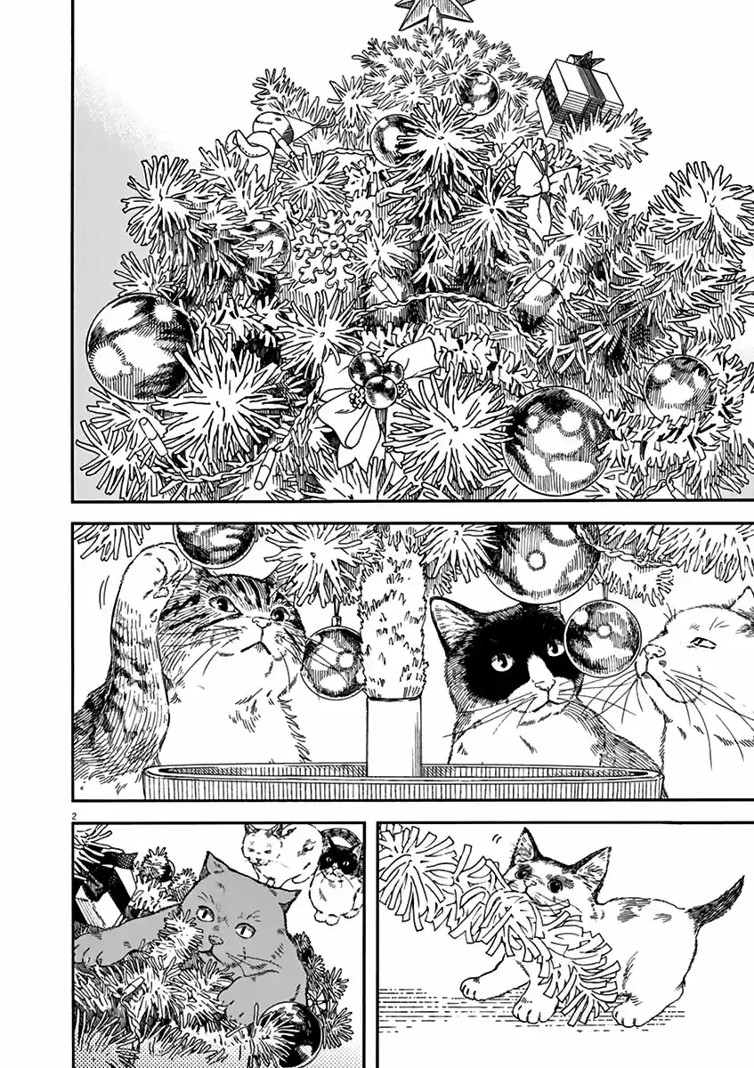 Neko No Otera No Chion-san - Capítulo 59 - Página 3 - LectorTMOo