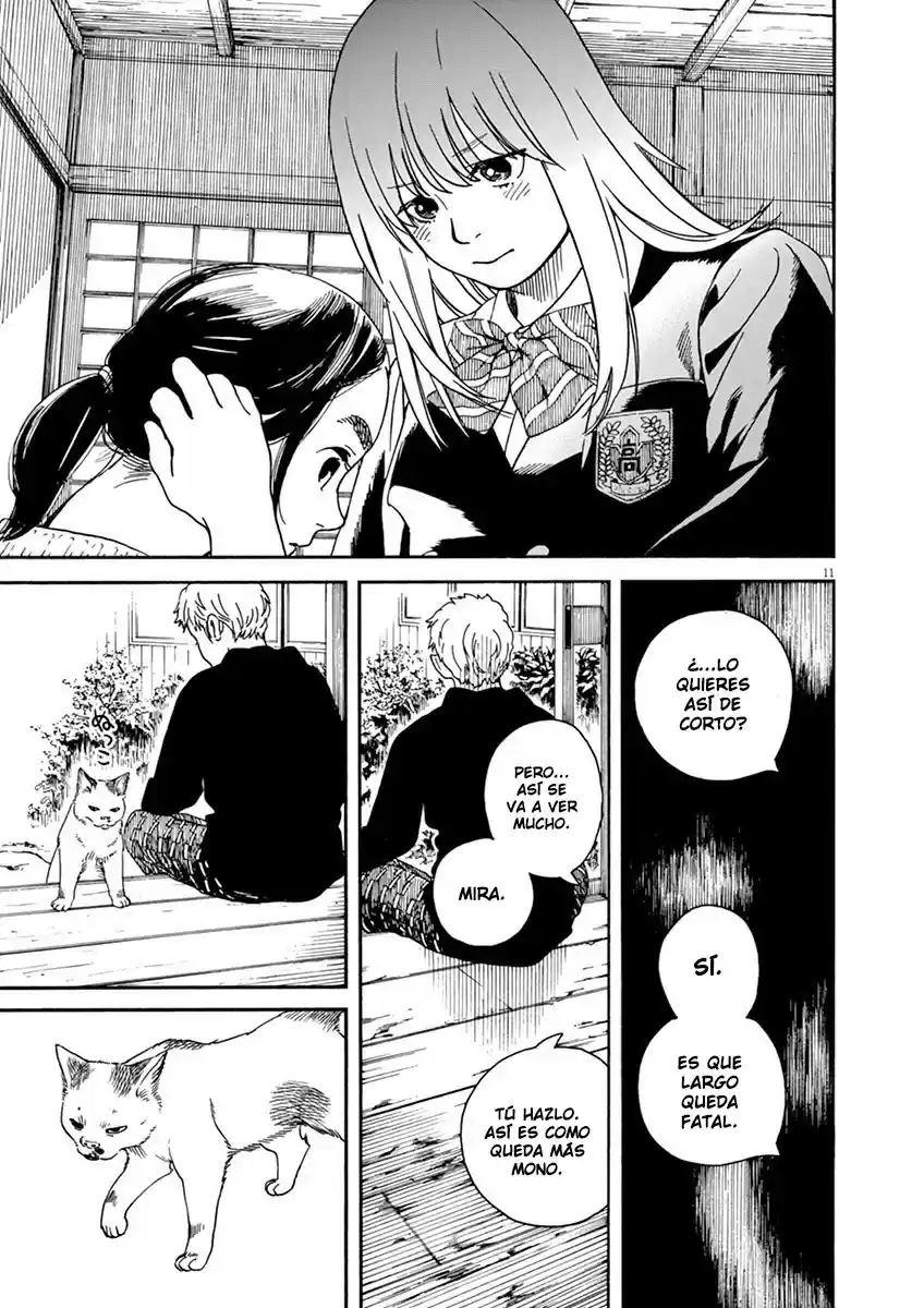 Neko No Otera No Chion-san - Capítulo 6 - Página 11 - LectorTMOo