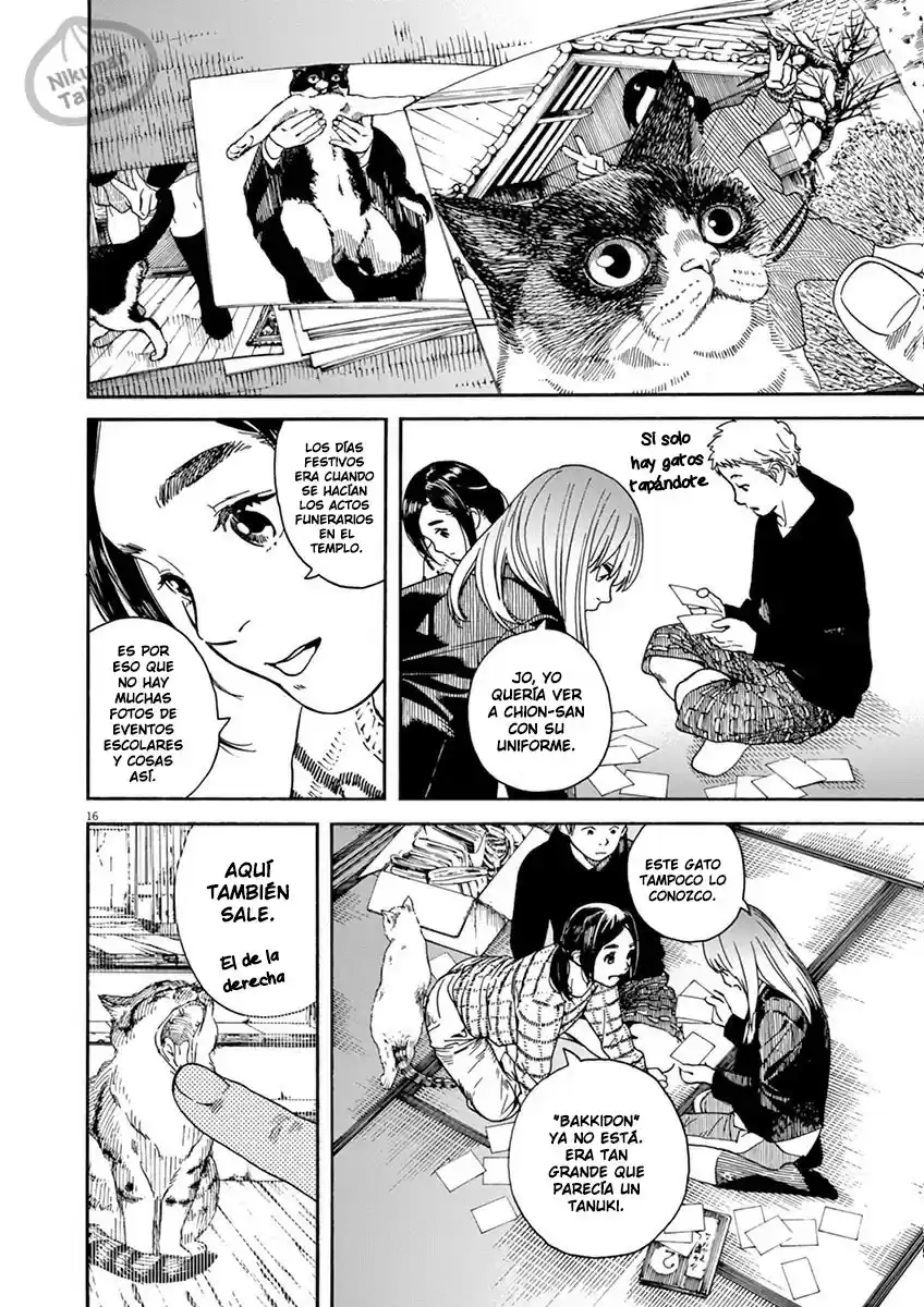 Neko No Otera No Chion-san - Capítulo 6 - Página 16 - LectorTMOo
