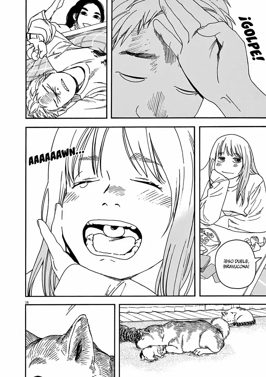 Neko No Otera No Chion-san - Capítulo 61 - Página 17 - LectorTMOo