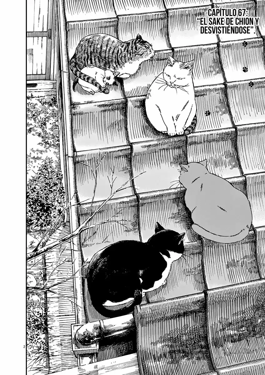 Neko No Otera No Chion-san - Capítulo 67 - Página 3 - LectorTMOo