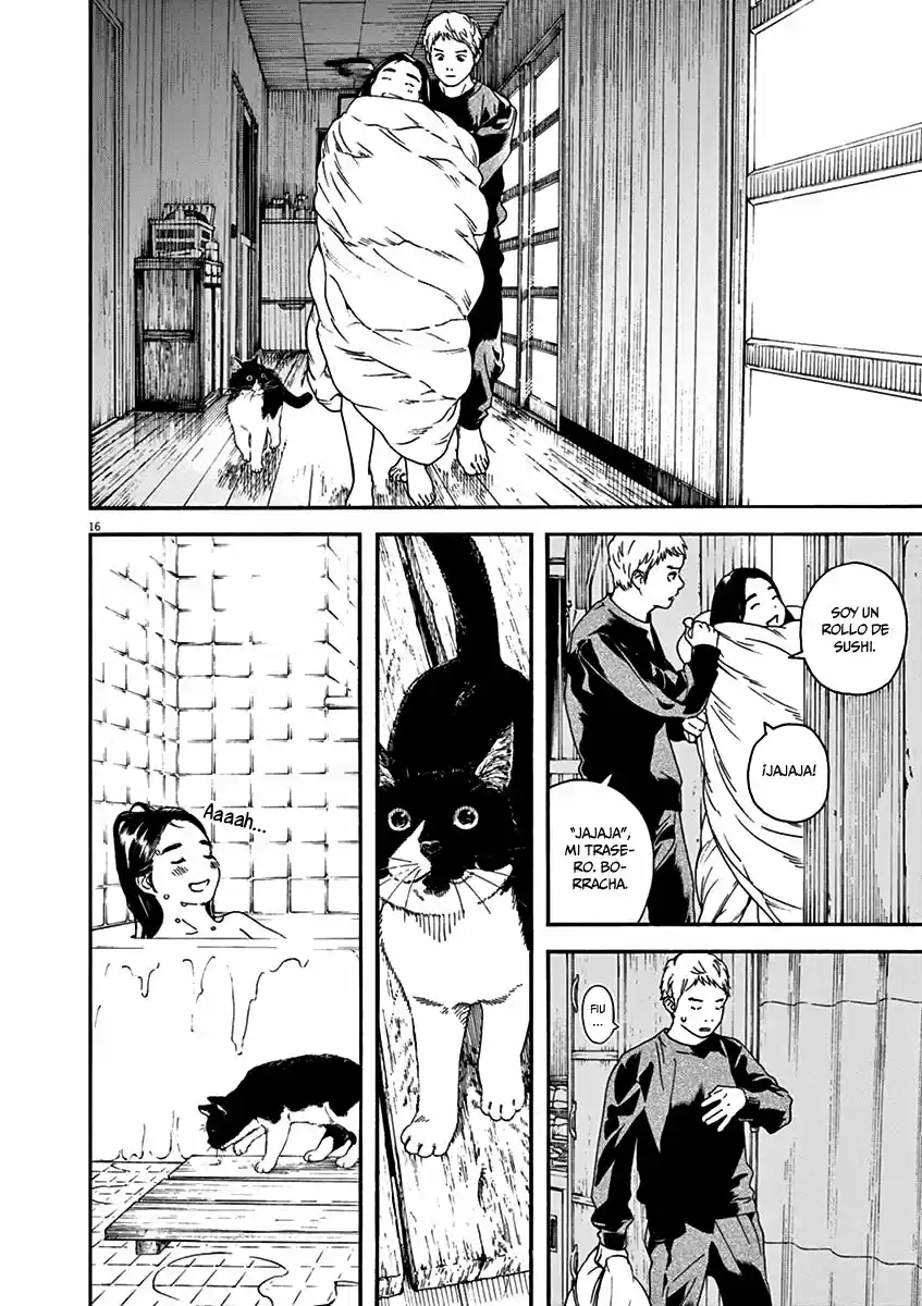 Neko No Otera No Chion-san - Capítulo 67 - Página 16 - LectorTMOo