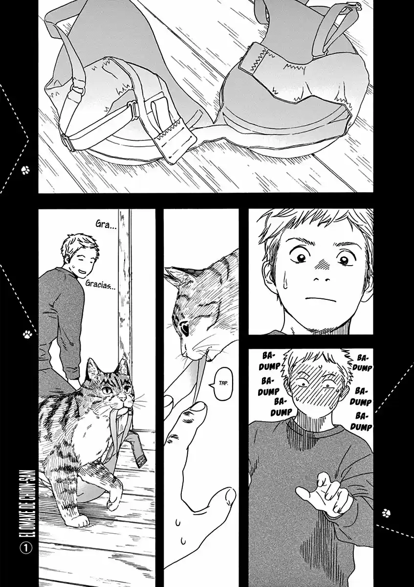 Neko No Otera No Chion-san - Capítulo 67 - Página 19 - LectorTMOo