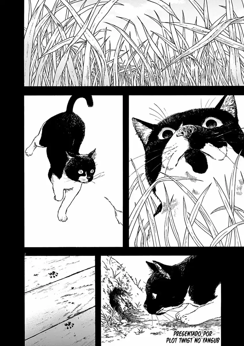 Neko No Otera No Chion-san - Capítulo 68 - Página 3 - LectorTMOo