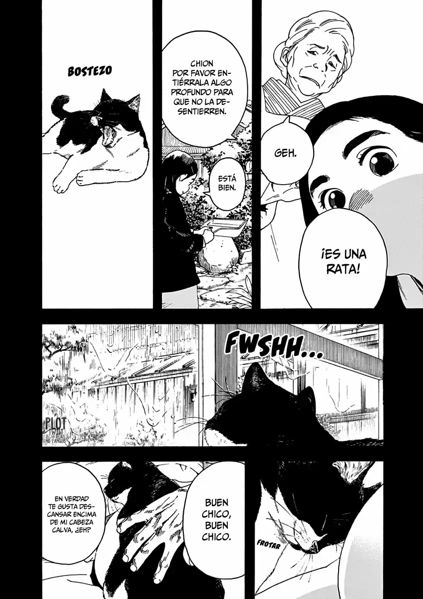 Neko No Otera No Chion-san - Capítulo 68 - Página 5 - LectorTMOo