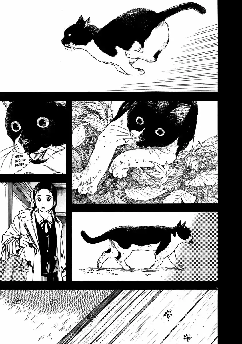 Neko No Otera No Chion-san - Capítulo 68 - Página 6 - LectorTMOo