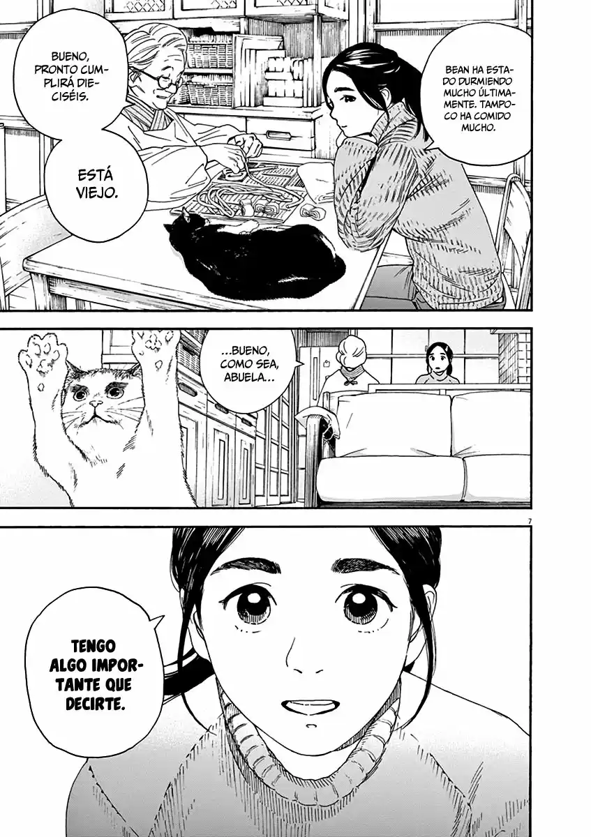 Neko No Otera No Chion-san - Capítulo 68 - Página 7 - LectorTMOo