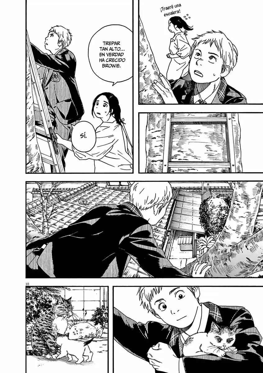 Neko No Otera No Chion-san - Capítulo 69 - Página 11 - LectorTMOo