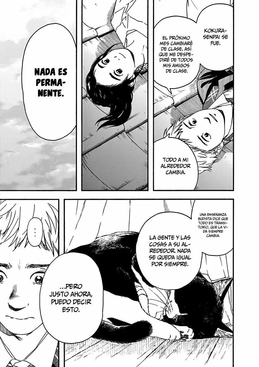 Neko No Otera No Chion-san - Capítulo 69 - Página 14 - LectorTMOo