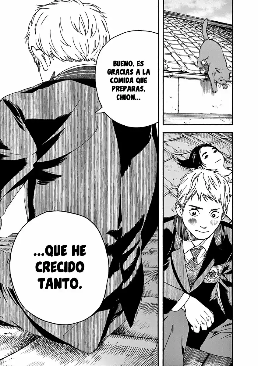 Neko No Otera No Chion-san - Capítulo 69 - Página 17 - LectorTMOo