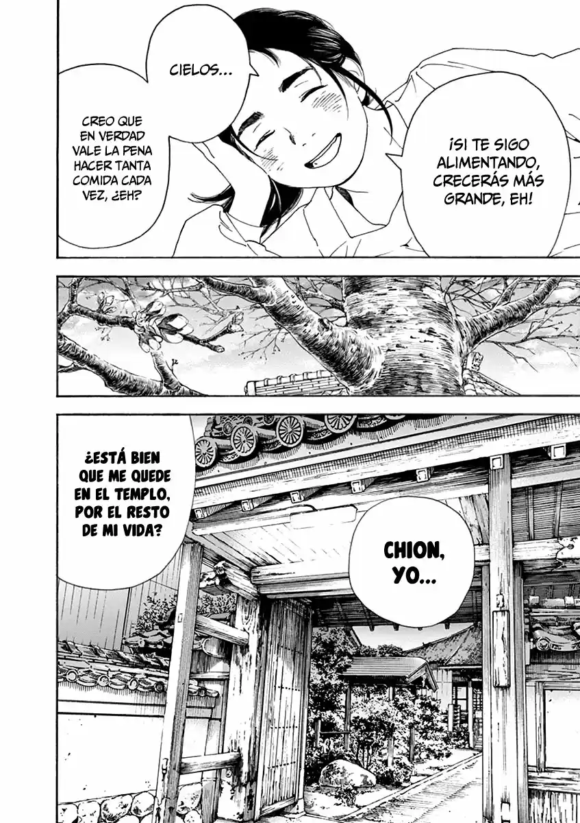 Neko No Otera No Chion-san - Capítulo 69 - Página 18 - LectorTMOo