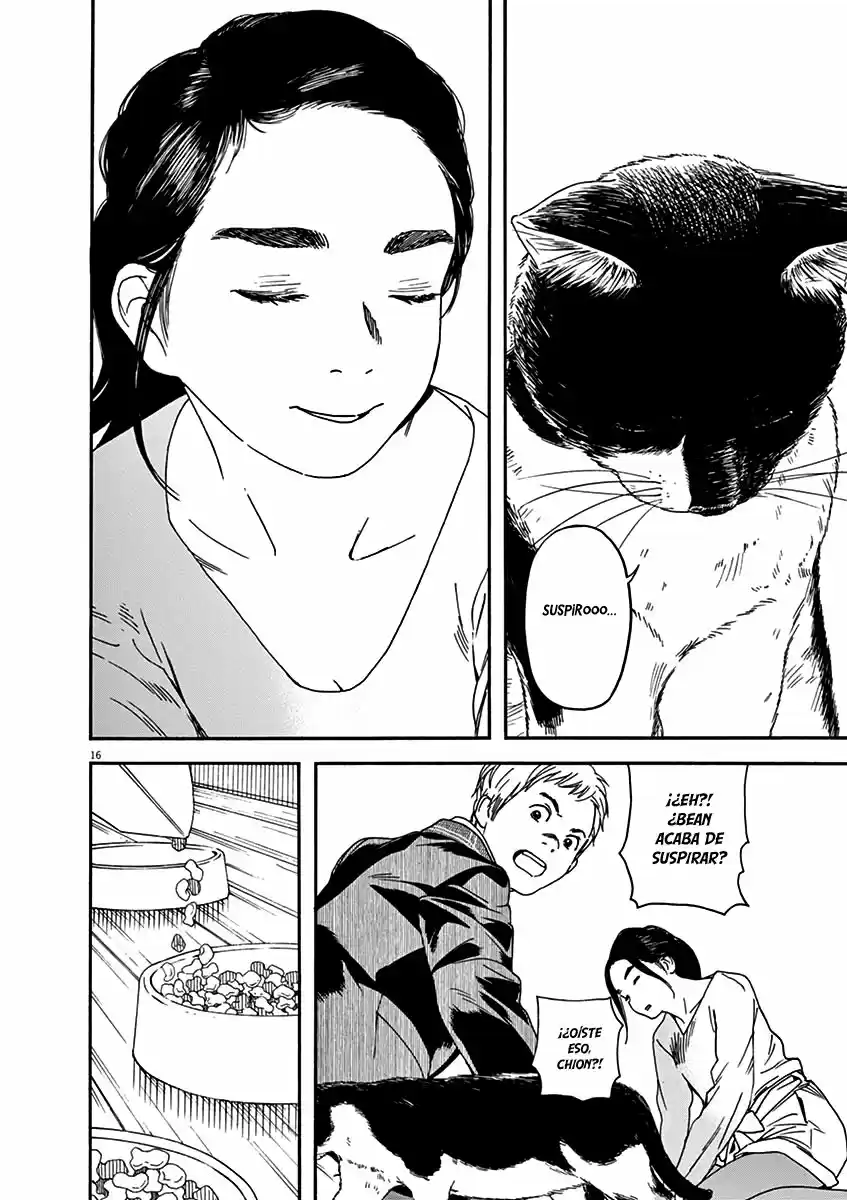 Neko No Otera No Chion-san - Capítulo 70 - Página 16 - LectorTMOo