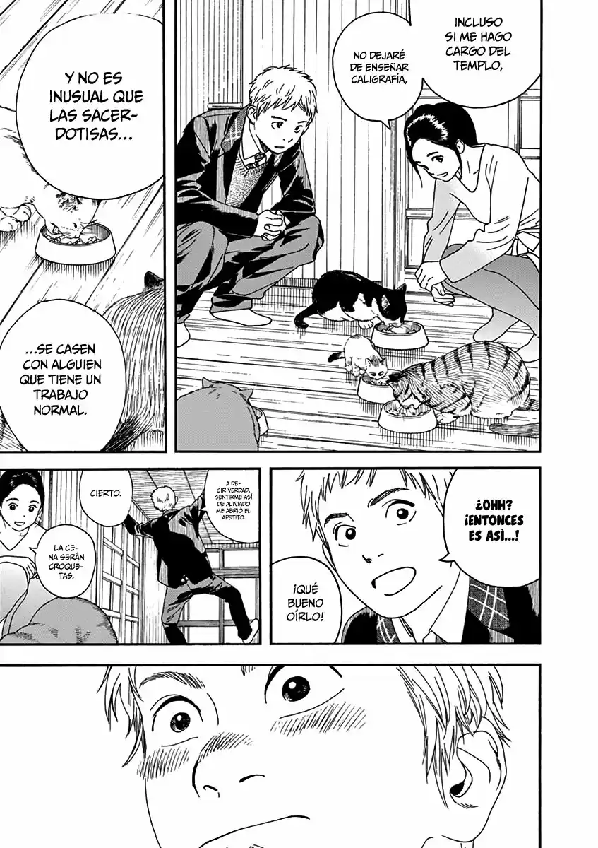 Neko No Otera No Chion-san - Capítulo 70 - Página 17 - LectorTMOo