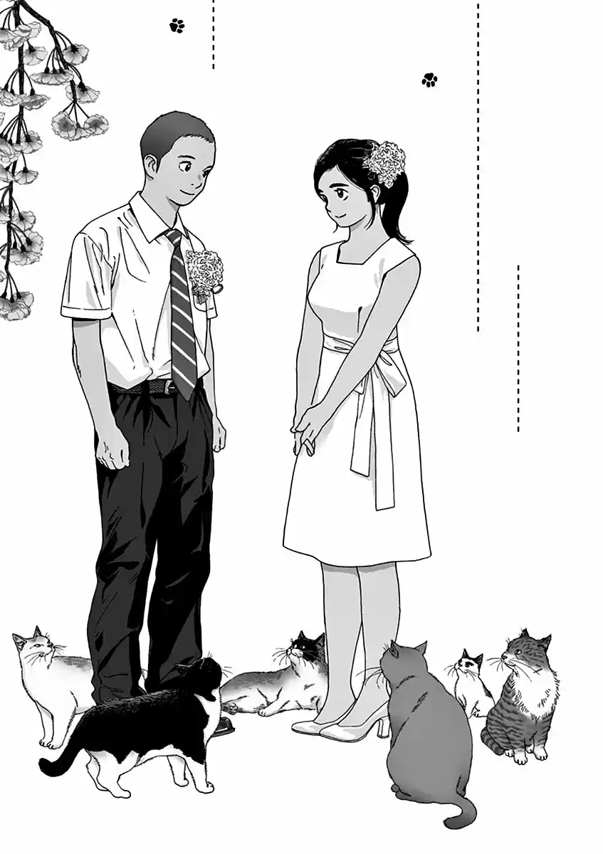 Neko No Otera No Chion-san - Capítulo 71 - Página 5 - LectorTMOo