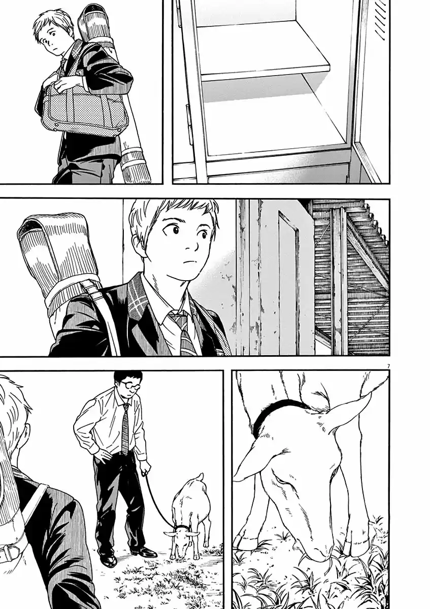Neko No Otera No Chion-san - Capítulo 71 - Página 13 - LectorTMOo