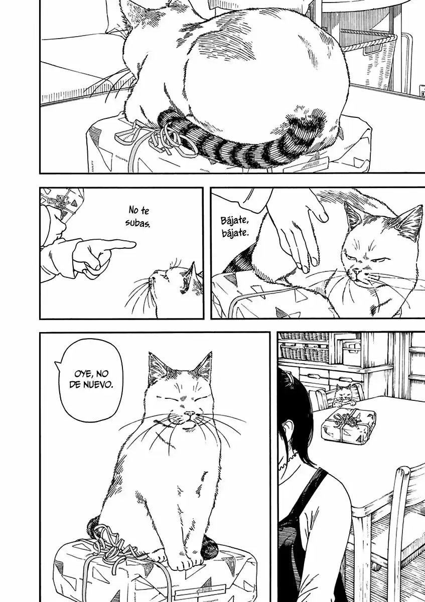 Neko No Otera No Chion-san - Capítulo 71 - Página 20 - LectorTMOo