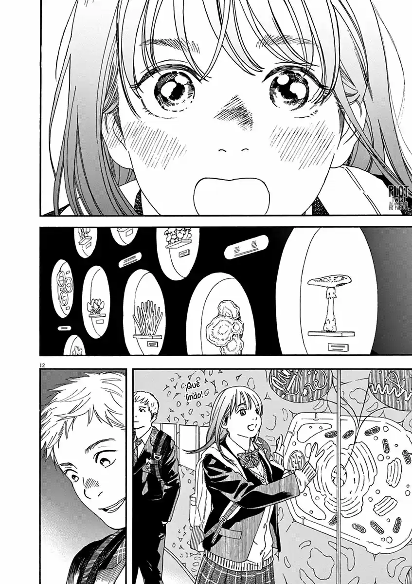 Neko No Otera No Chion-san - Capítulo 72 - Página 13 - LectorTMOo