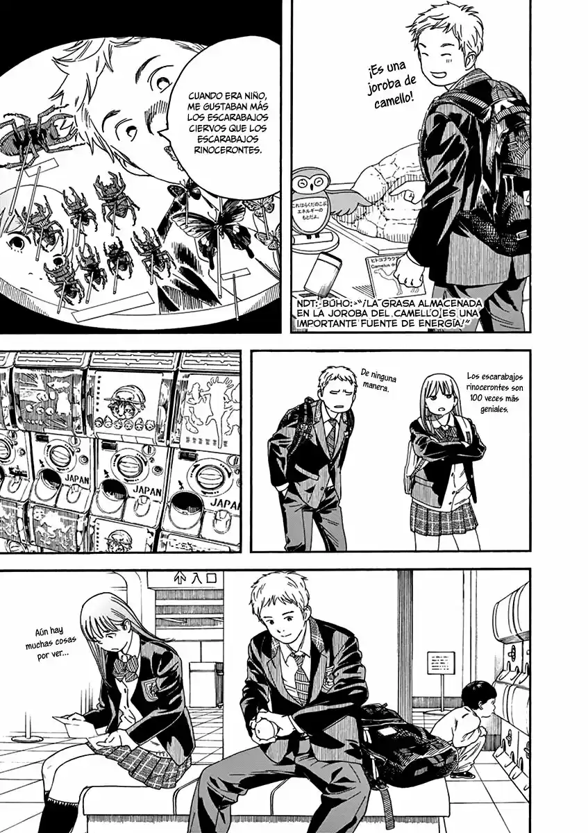 Neko No Otera No Chion-san - Capítulo 72 - Página 14 - LectorTMOo