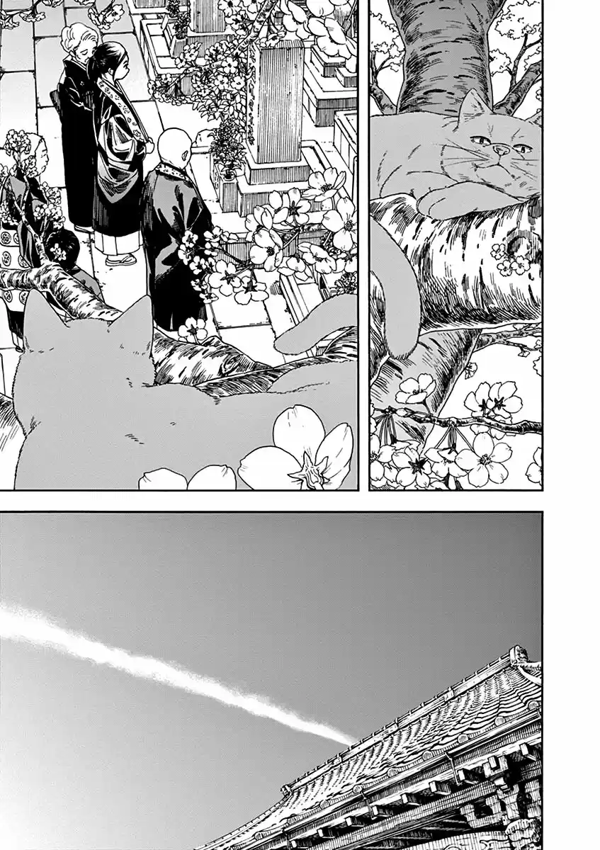 Neko No Otera No Chion-san - Capítulo 74 - Página 10 - LectorTMOo