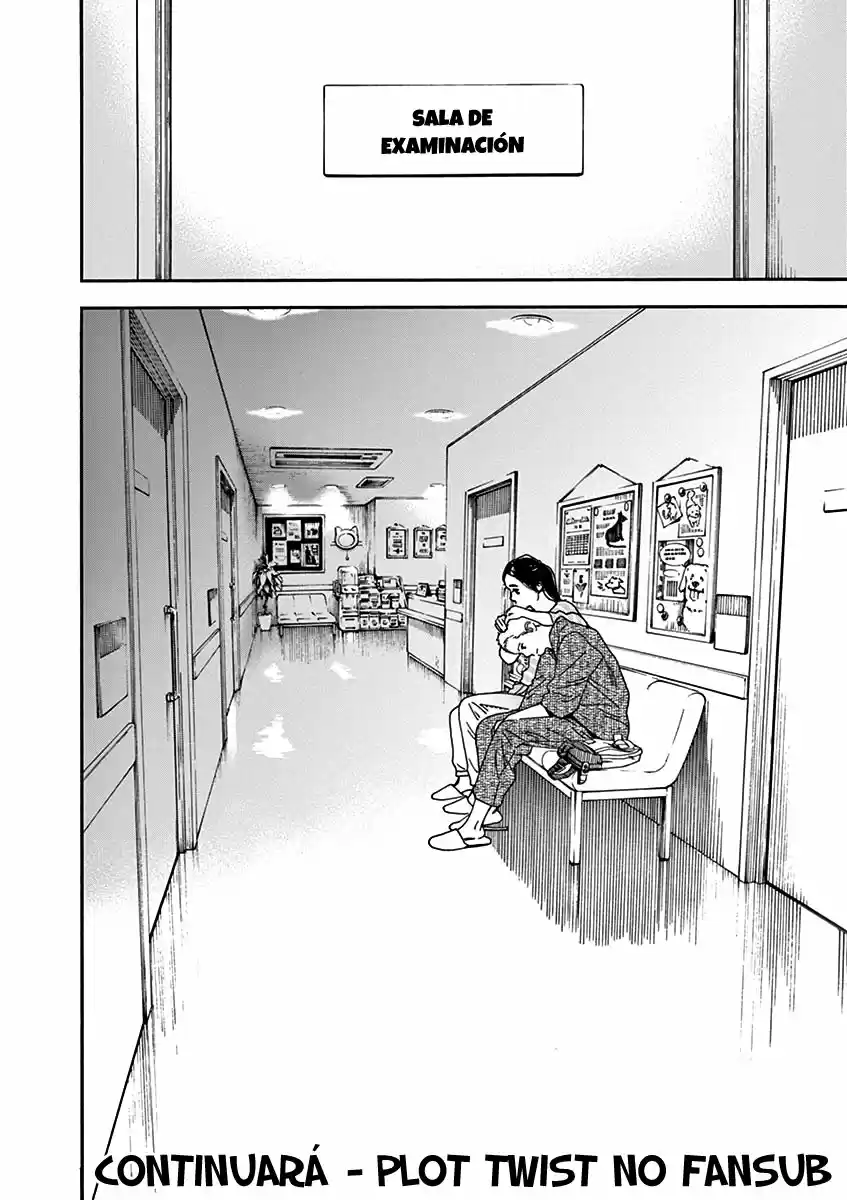 Neko No Otera No Chion-san - Capítulo 75 - Página 18 - LectorTMOo
