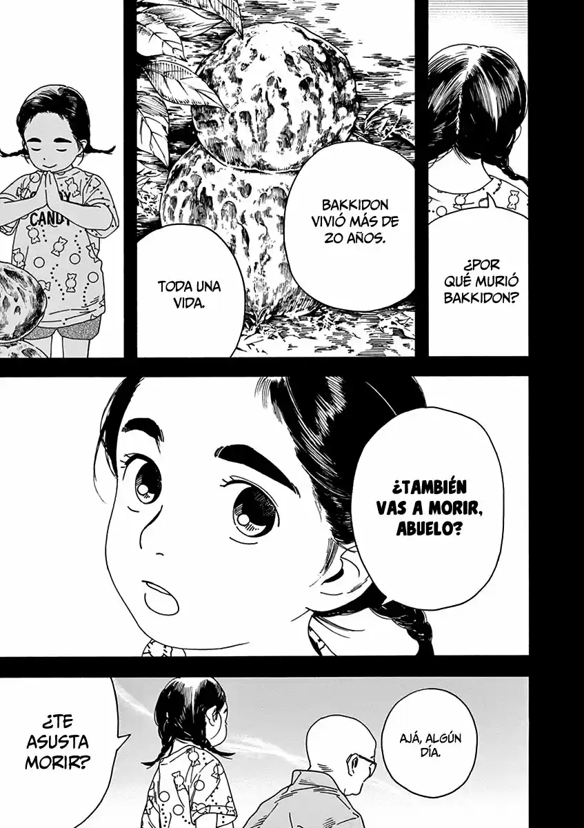 Neko No Otera No Chion-san - Capítulo 76 - Página 4 - LectorTMOo