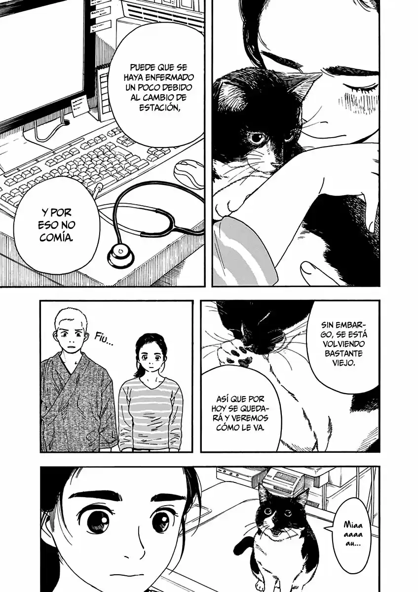 Neko No Otera No Chion-san - Capítulo 76 - Página 10 - LectorTMOo