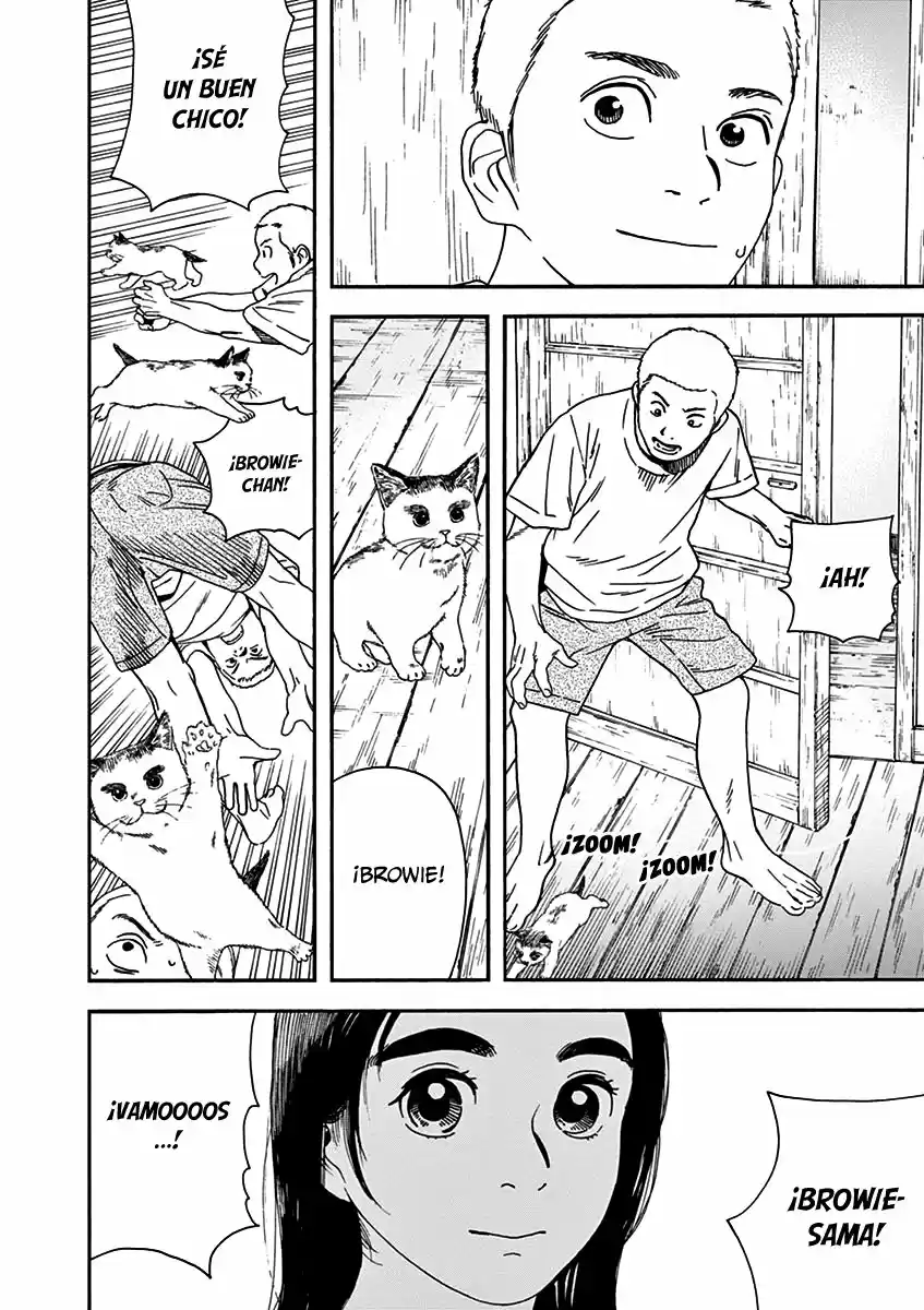 Neko No Otera No Chion-san - Capítulo 77 - Página 11 - LectorTMOo