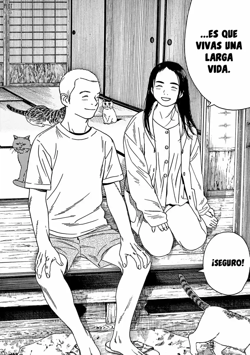 Neko No Otera No Chion-san - Capítulo 77 - Página 19 - LectorTMOo