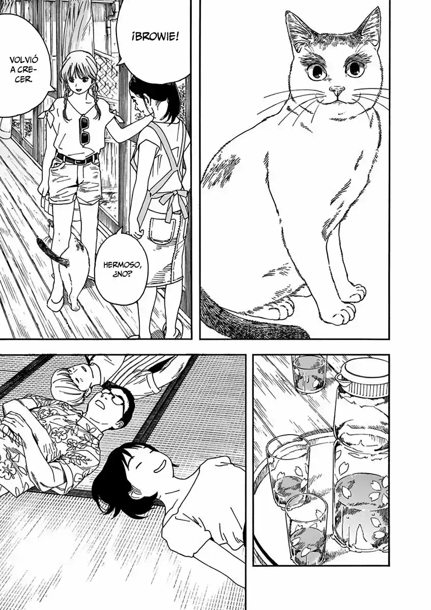 Neko No Otera No Chion-san - Capítulo 78 - Página 14 - LectorTMOo