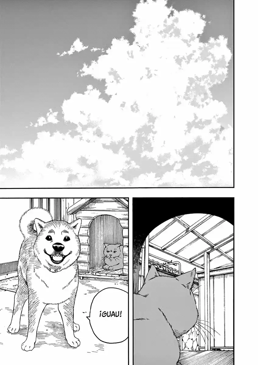 Neko No Otera No Chion-san - Capítulo 79 - Página 20 - LectorTMOo
