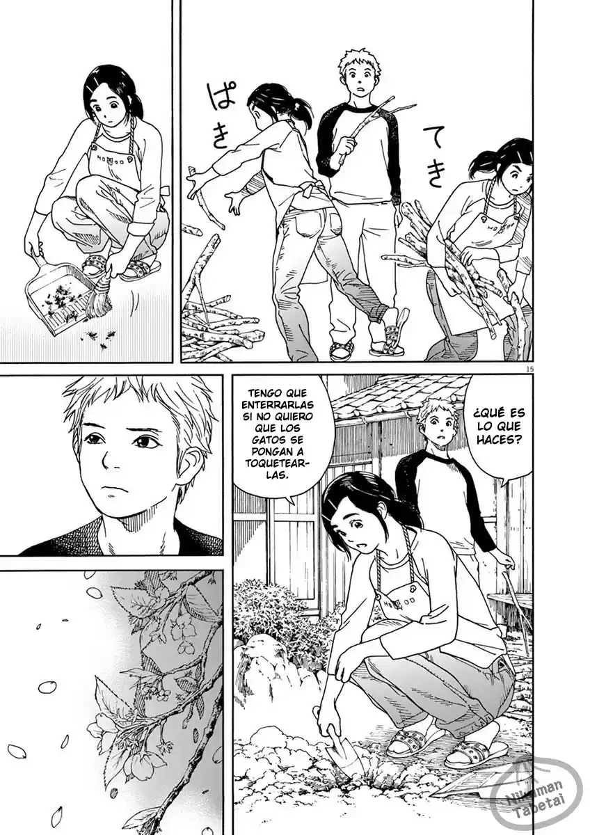 Neko No Otera No Chion-san - Capítulo 9 - Página 15 - LectorTMOo