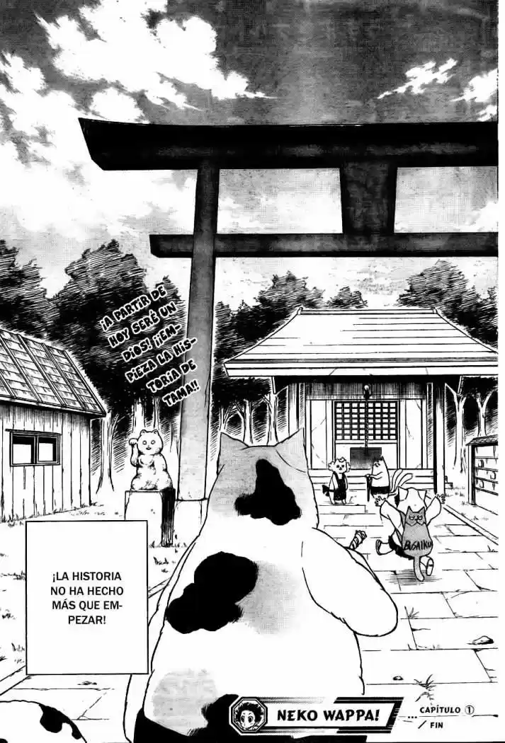Neko Wappa - Capítulo 1 - Página 55 - LectorTMOo