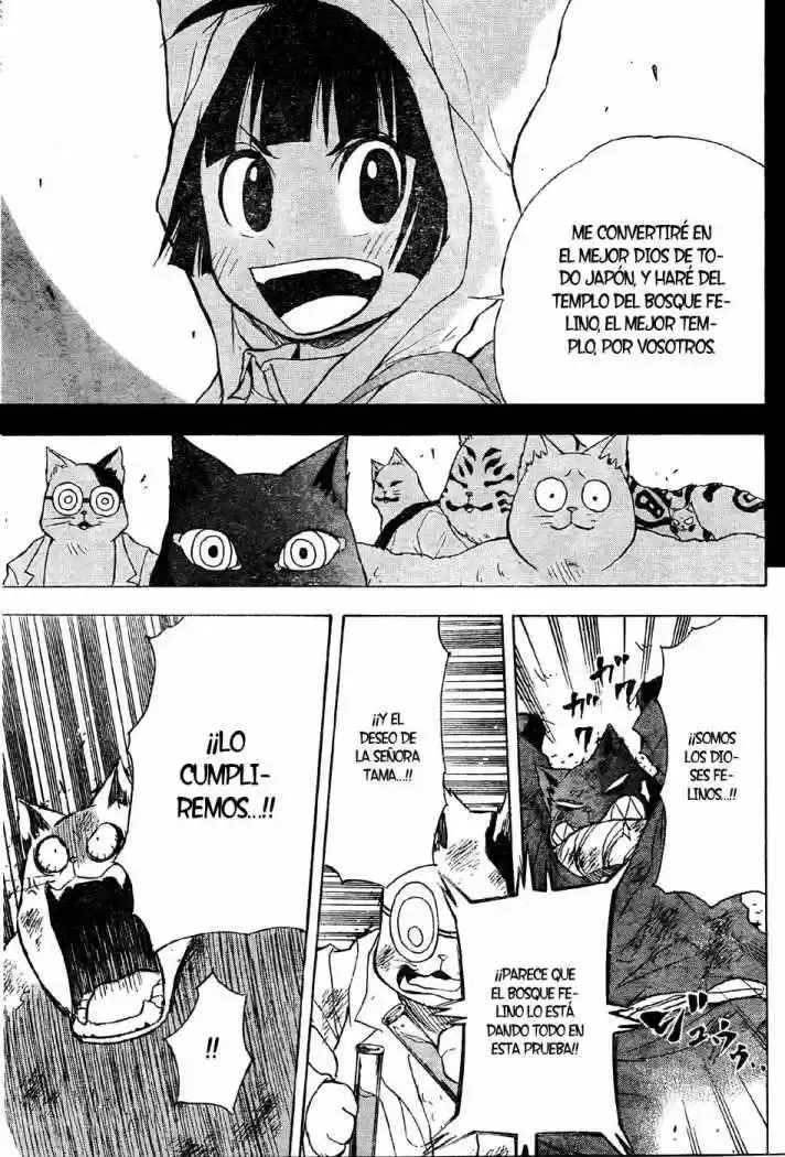 Neko Wappa - Capítulo 12 - Página 17 - LectorTMOo