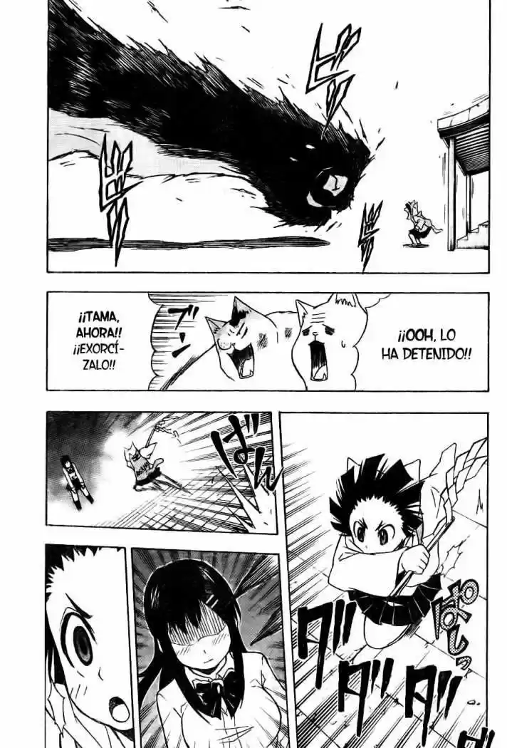 Neko Wappa - Capítulo 6 - Página 13 - LectorTMOo