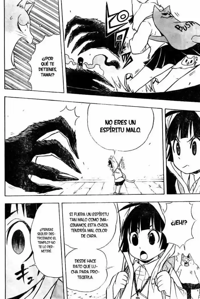 Neko Wappa - Capítulo 6 - Página 14 - LectorTMOo