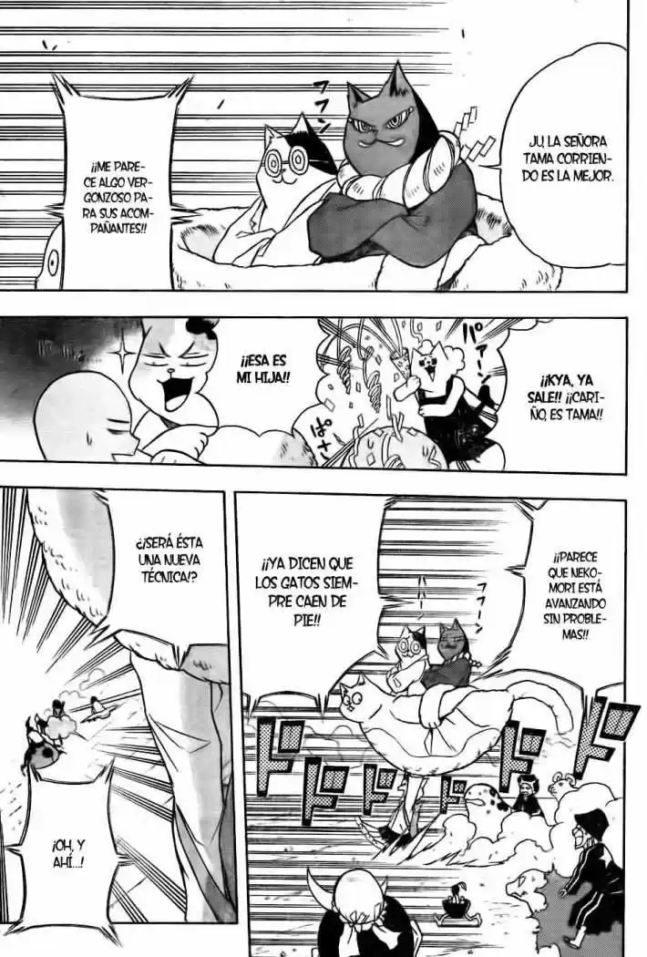 Neko Wappa - Capítulo 9 - Página 9 - LectorTMOo