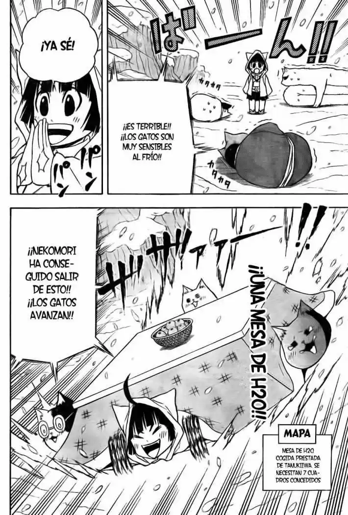 Neko Wappa - Capítulo 9 - Página 13 - LectorTMOo
