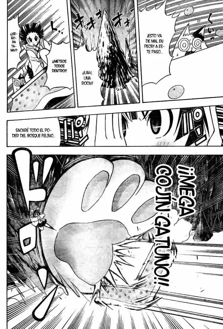 Neko Wappa - Capítulo 9 - Página 17 - LectorTMOo