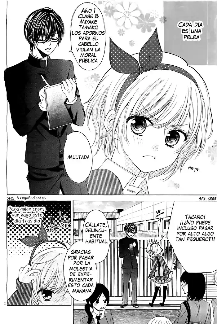 Nekomimi Wa Yamerarenai - Capítulo - Página 5 - LectorTMOo
