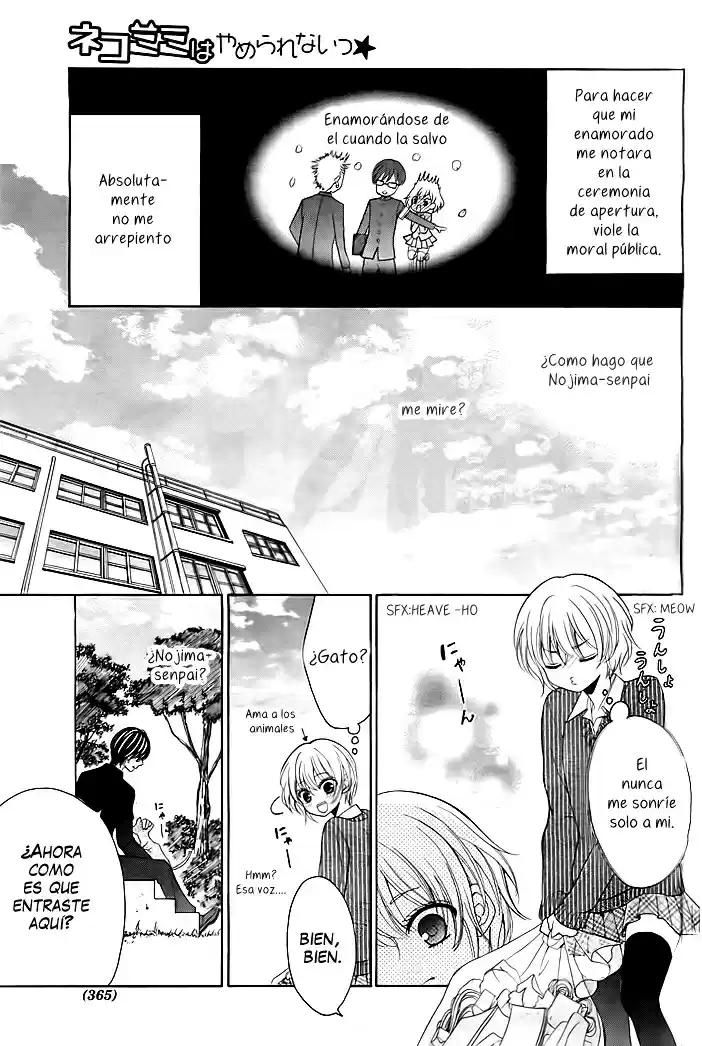Nekomimi Wa Yamerarenai - Capítulo - Página 8 - LectorTMOo