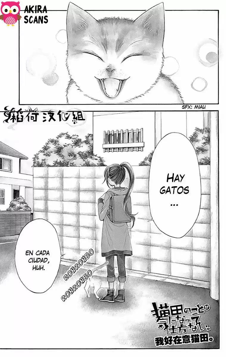 NEKOTA NO KOTO GA KI NI NATTE SHIKATANAI - Capítulo 1 - Página 5 - LectorTMOo