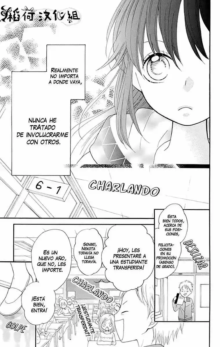 NEKOTA NO KOTO GA KI NI NATTE SHIKATANAI - Capítulo 1 - Página 10 - LectorTMOo