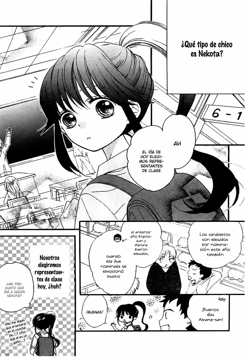 NEKOTA NO KOTO GA KI NI NATTE SHIKATANAI - Capítulo 2 - Página 8 - LectorTMOo