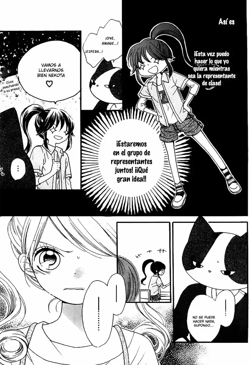 NEKOTA NO KOTO GA KI NI NATTE SHIKATANAI - Capítulo 2 - Página 13 - LectorTMOo